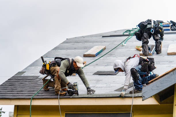 Professional Roof Replacement technician working in New Concord, OH